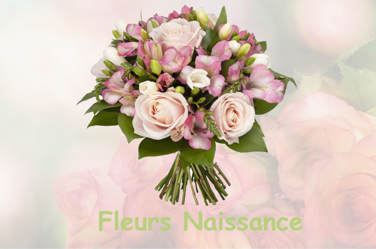 fleurs naissance HALLES-SOUS-LES-COTES