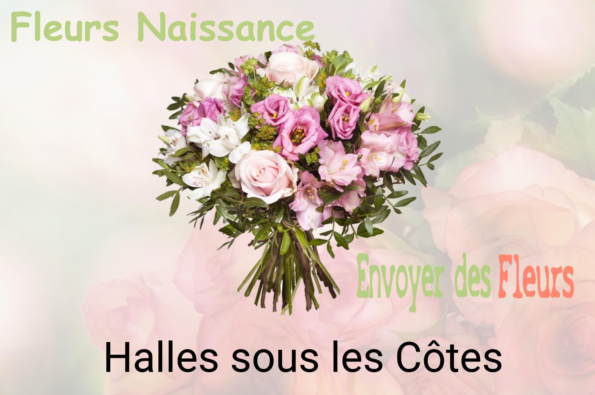 Bouquet de fleurs de naissance livré à Halles-sous-les-Côtes