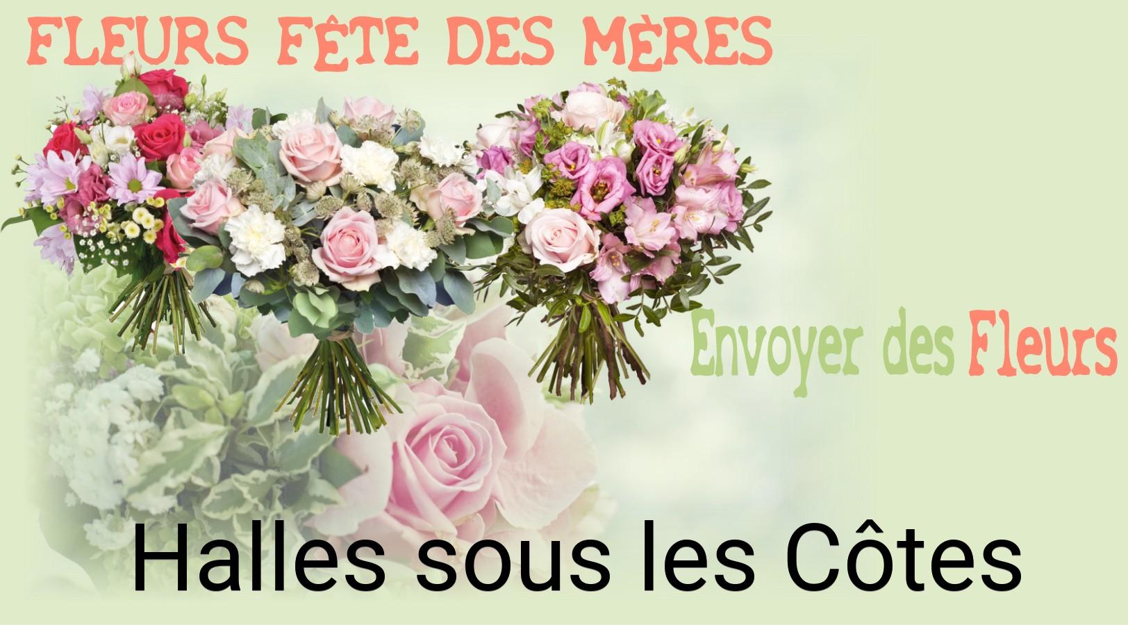 Bouquet de Fête des Mères livré à Halles-sous-les-Côtes