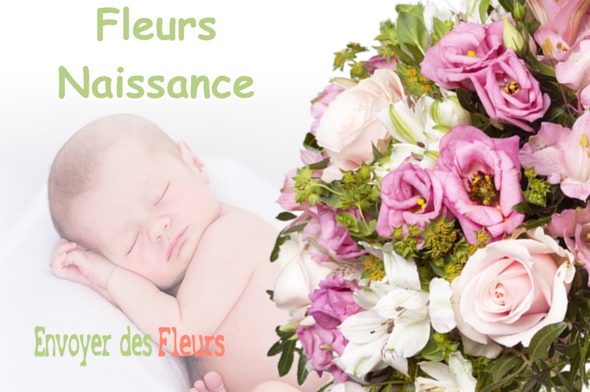 lIVRAISON FLEURS NAISSANCE à HALLES-SOUS-LES-COTES